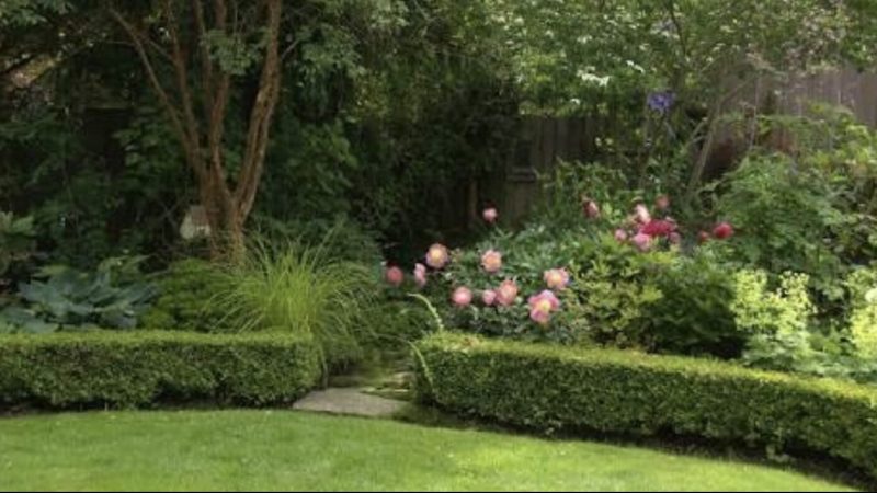 Hedging and Gardening Brisbane