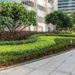 Garden and Lawn Care