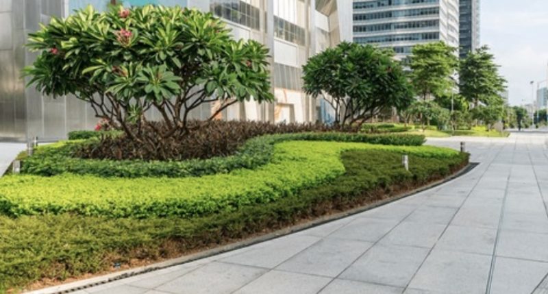 Garden and Lawn Care