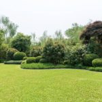 Gardening and Lawn Mowing Brisbane