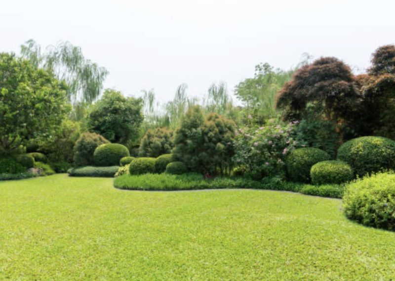 Gardening and Lawn Mowing Brisbane