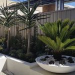 Garden Detailing Brisbane