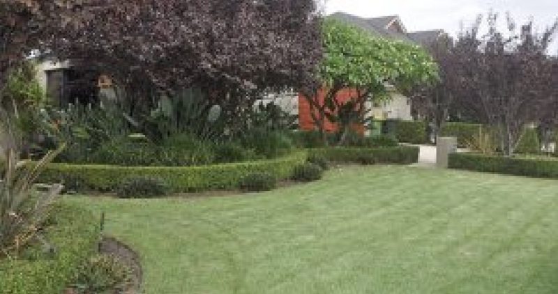 Lawn Mowing Brisbane