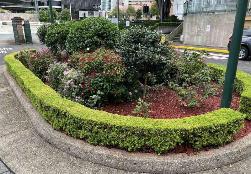 Hedging and Gardening