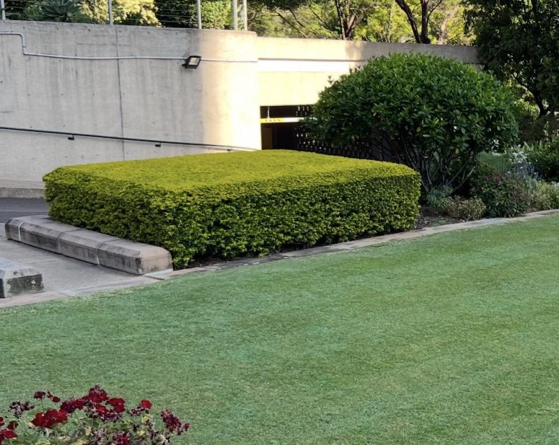 Hedging and Gardening