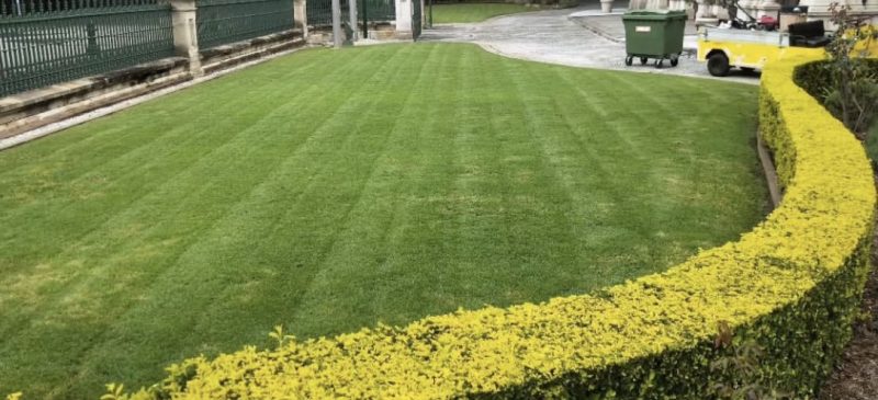 Lawn Care Brisbane