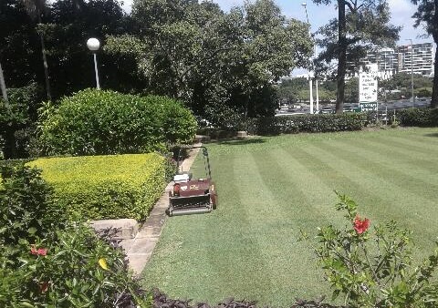 Lawn Care Brisbane